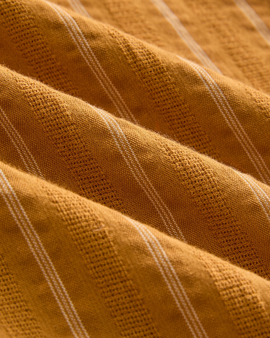 Turmeric Stripe