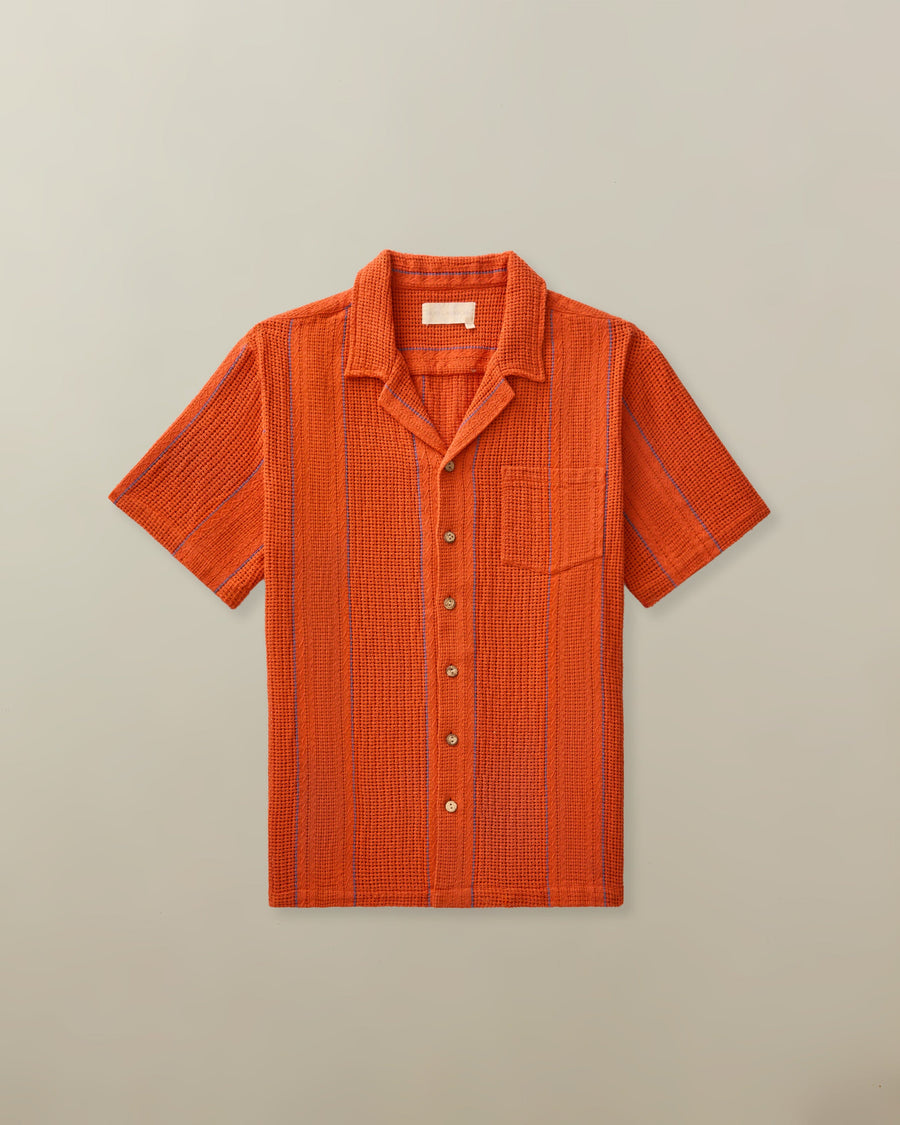 Tomato Stripe